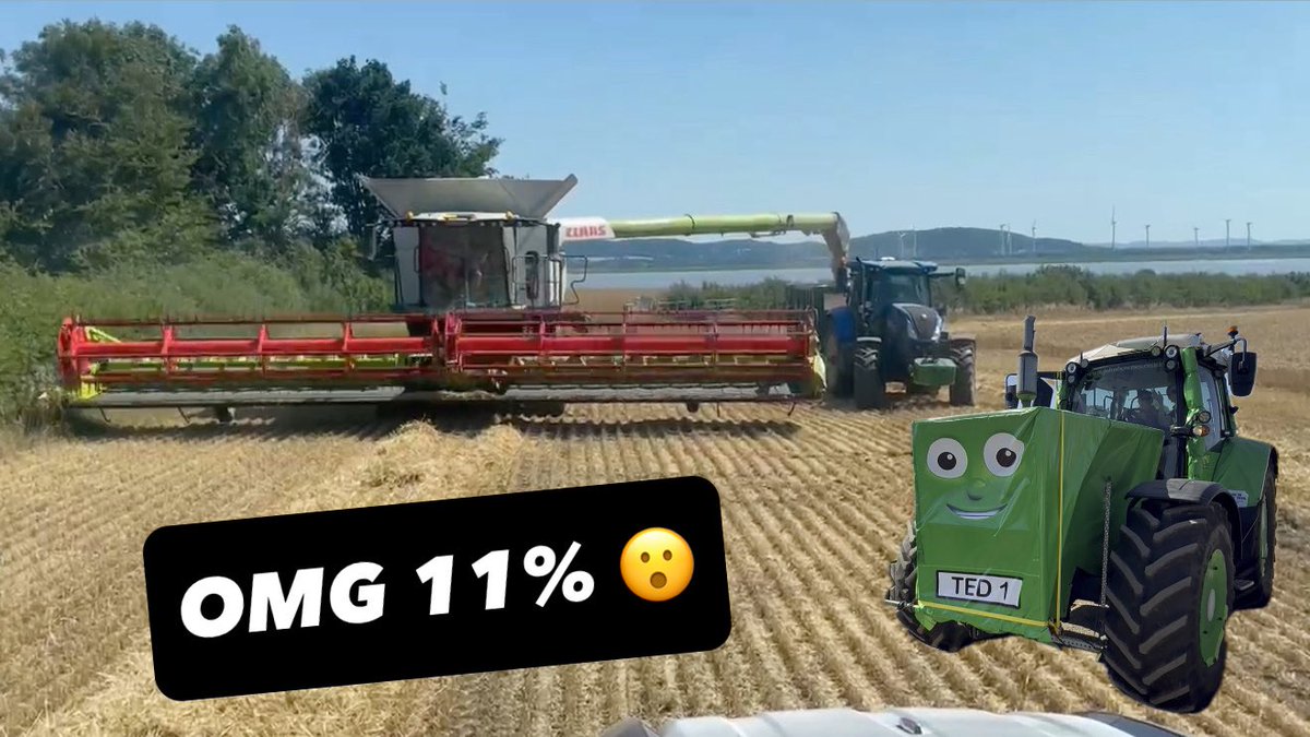 CUTTING WHEAT AT 11% OMG AnswerAsAPercent 1941
youtu.be/t3lWVbZSzBg