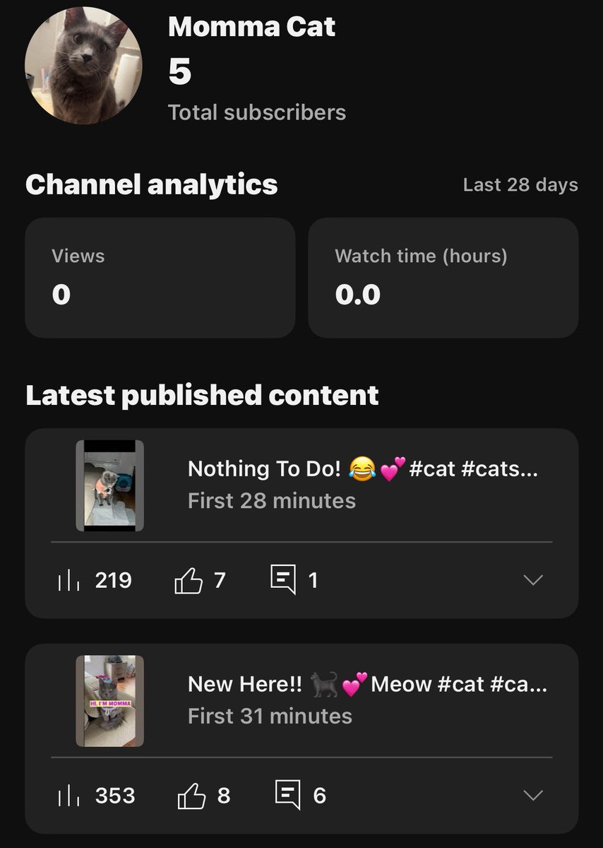 itsMommaCat's tweet image. I’m officially on YouTube 🐈⬛💕
#Caturday
youtube.com/shorts/iLIdXP_…