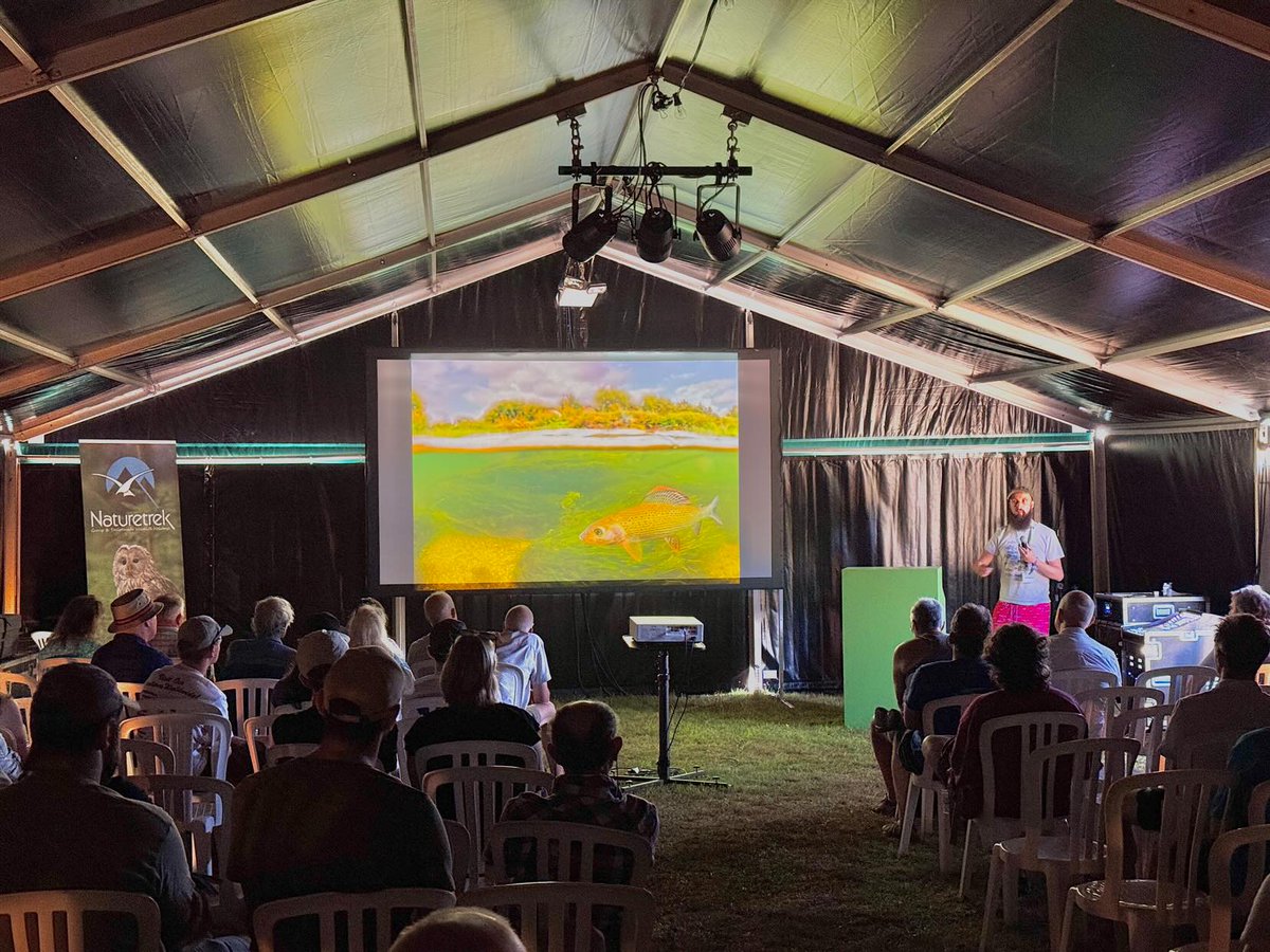 Lovely to bump into so many people I've worked with over the years, podcast listeners, youtube watchers and new and old friends at birdfair so far. Last day tomorrow I've got plenty of books and other merch so swing on by if your in the area!