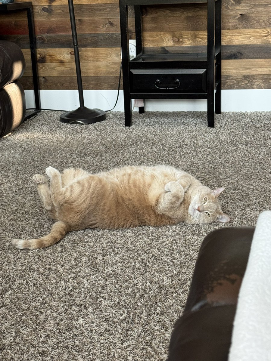 Blockwars Lifesteal watchparty!!

Twitch.tv/meowzmc