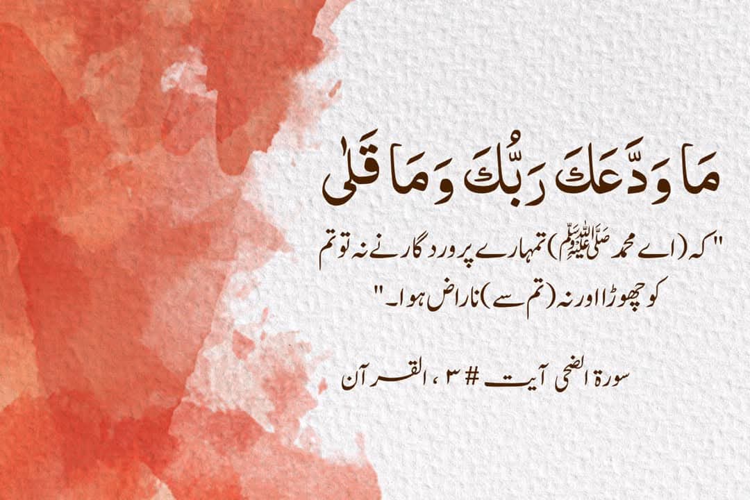 Shameeن_Tariق 🇵🇸 (@chall_oye_ja) on Twitter photo 