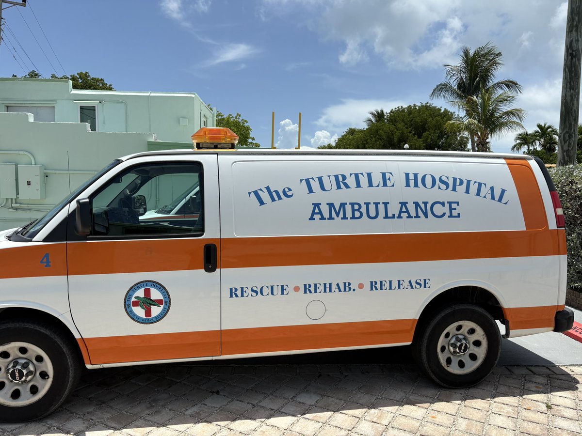 DeanSouthwark's tweet image. Fantastic visit to the Turtle Hospital here in the Florida Keys. So much plastic in the sea..