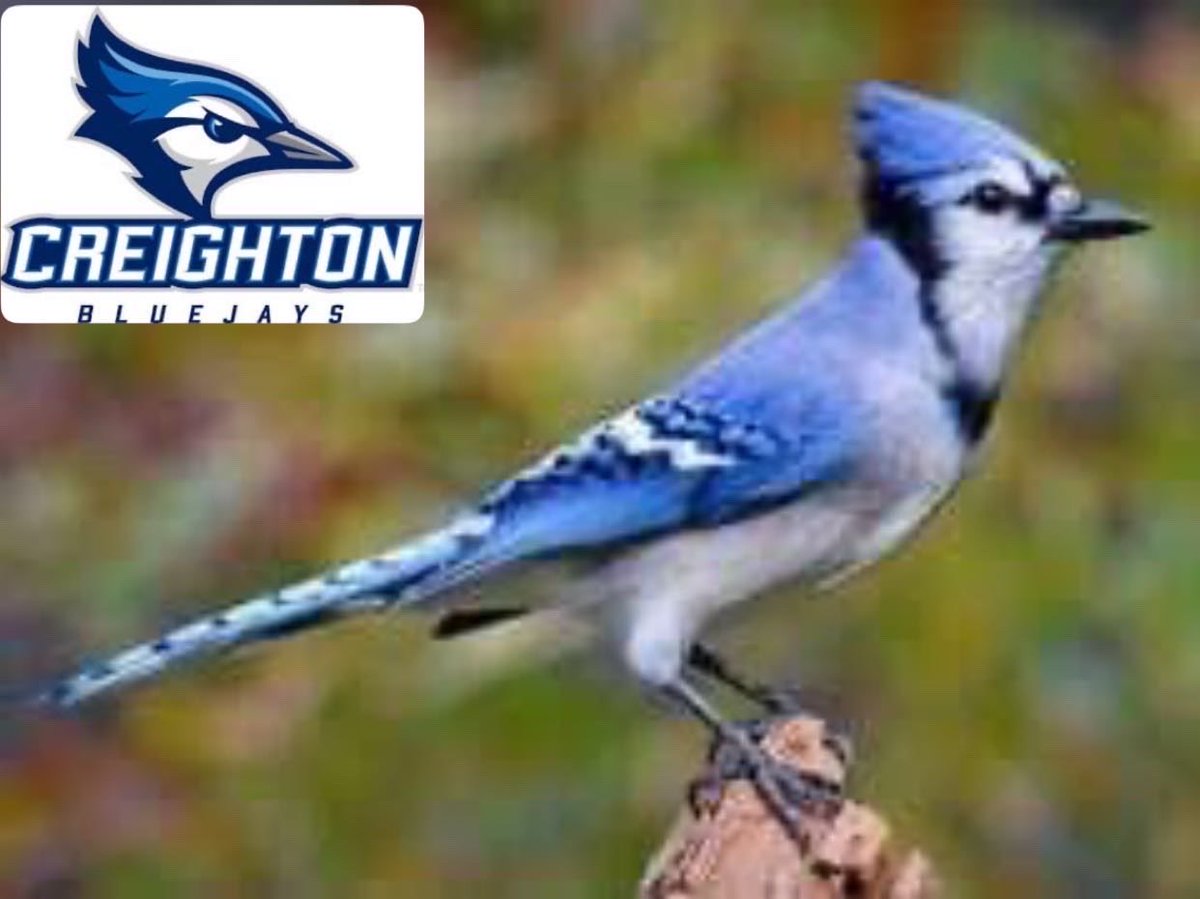 MICDS_BASEBALL's tweet image. 