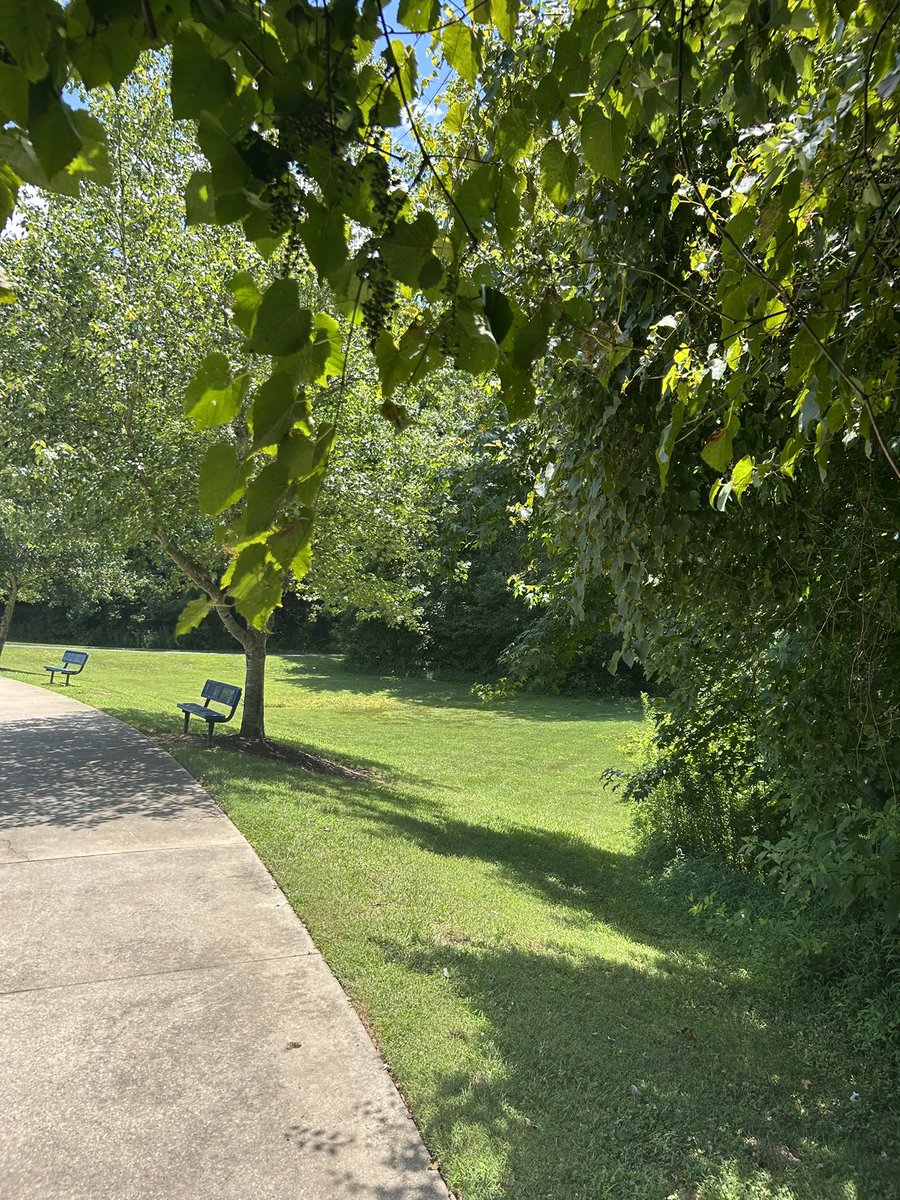 vivezaart's tweet photo. #summervibes #walking #running 🪻🌞🌳 https://t.co/dSuglx517y