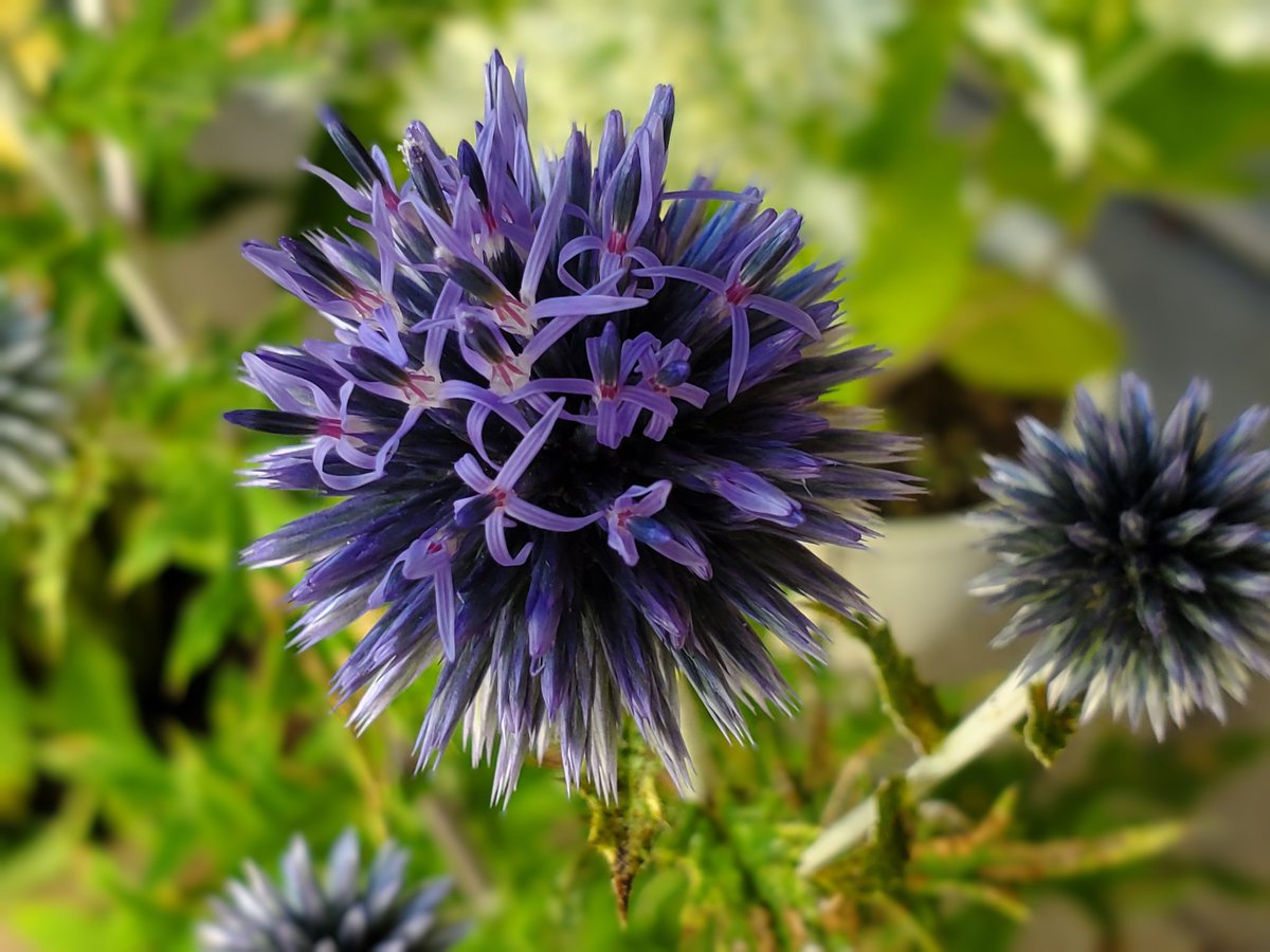 おはようございます
気温 23℃
今日の最高気温 35℃

今朝のお天気は晴れ🌞
日中も青空が広がる予報

昨夜からのエアコン設定は 27℃
今朝の外気温は 23℃
外の方が涼しくて気持ち良い

何だか電気代の無駄遣いでした

頑張っていきましょう👊
良い週末をお過ごしください☺
#アマチュア無線
#イマソラ