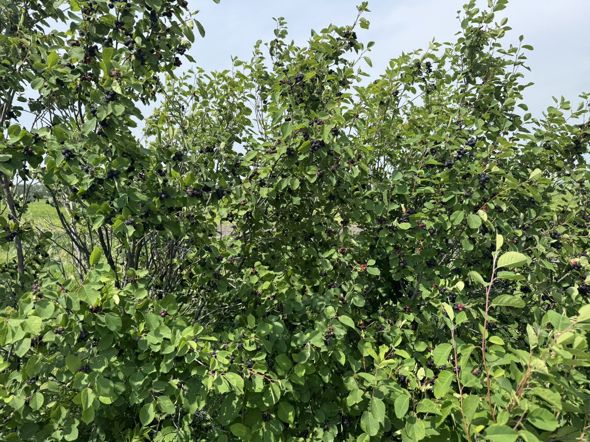 Brad Hockridge tweet media