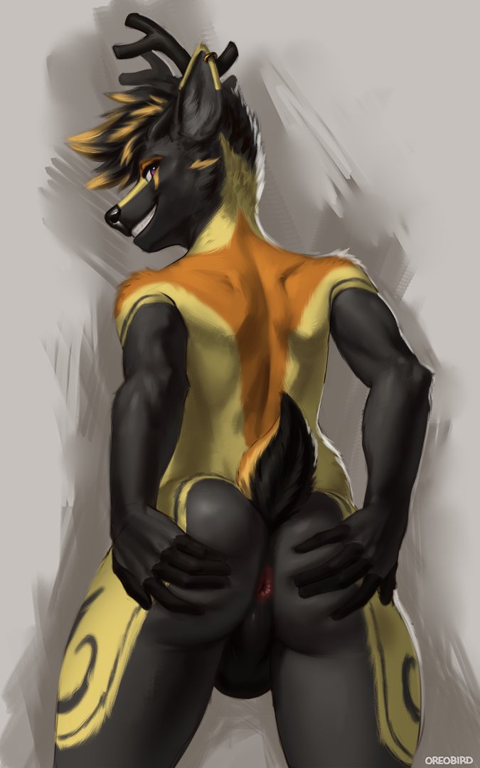 reward for Mr Deer