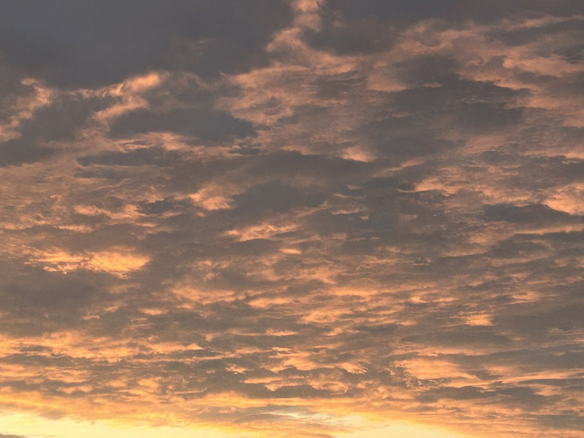 Meteonavarra_'s tweet image. El cielo de Pamplona una poesía 😍