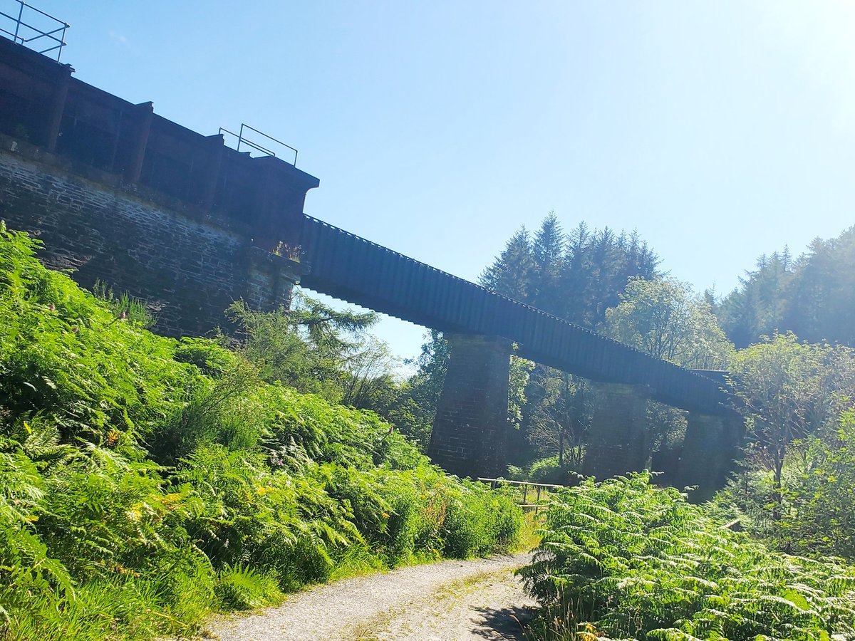 blonde_on_bikes's tweet image. Gravelfoyle 30km Lomond loop on mtbs today. Hot hot  hot🔥 ...but a top day #Gravelfoyle #Gravelriding #MTBs #aberfoyle #forest #lochard