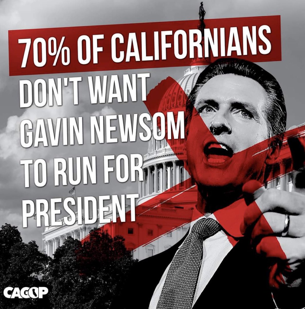 HB_Sand_Granny's tweet image. YOU caused this, Gavin Newsom, by putting illegal immigrants at risk for your political aspirations.
USING PEOPLE FOR YOUR AGENDAS IS THE ONLY THING YOU DO WELL..
You will never, ever be President of the United States of America!