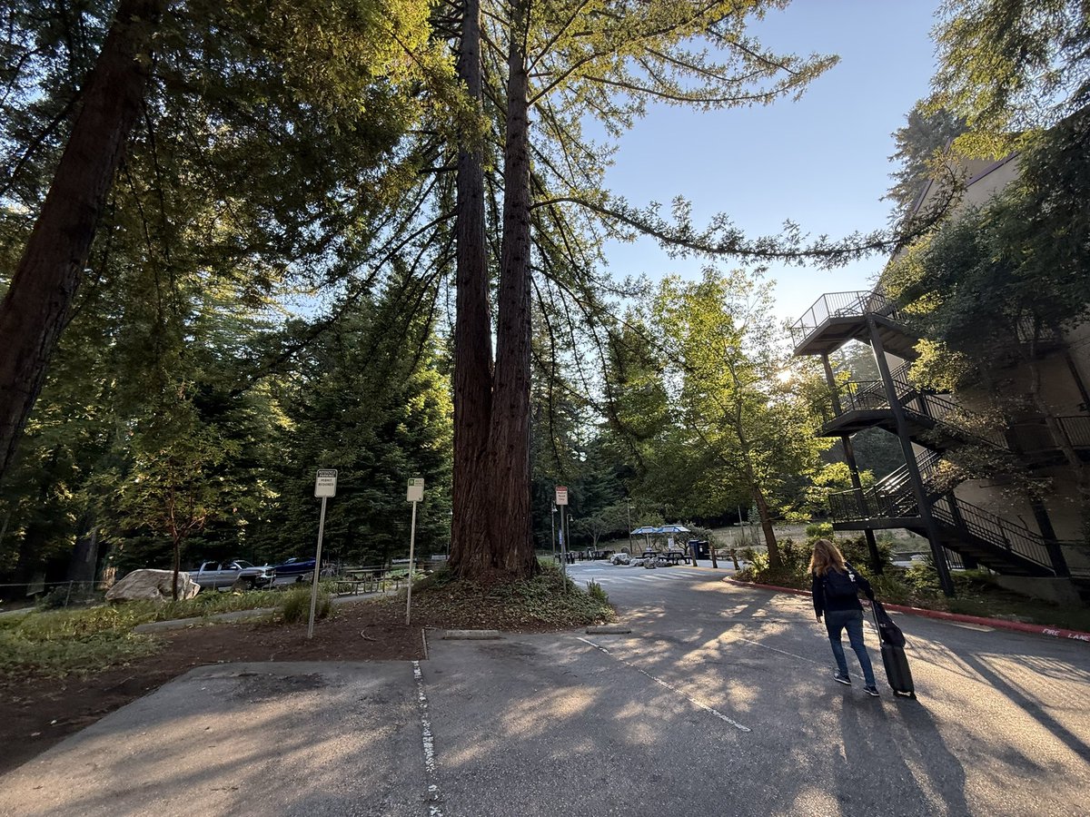 かふいちらふ tweet media