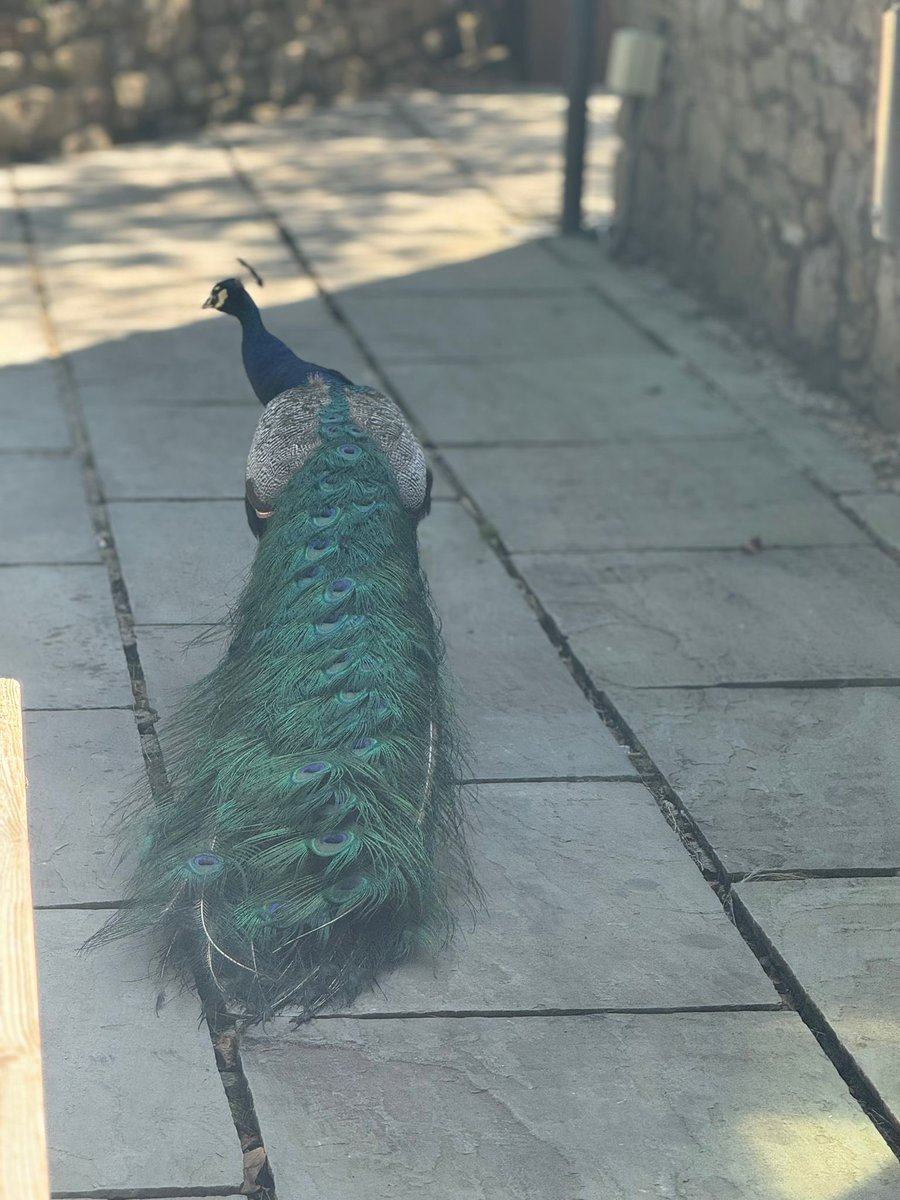 Smithersctid's tweet image. Lovely place 😍What a weekend! 🥵😎🍺have a gud un folks🍻