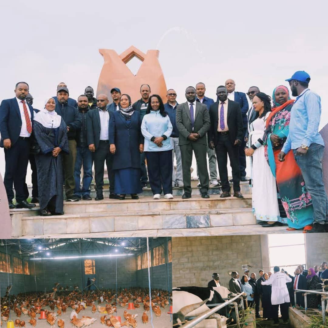 ማምሻዉን  የምዕራቧ ኮከብ በሆነችው በቤኒሻንጉል ጉሙዝ አሶሳ ከተማ ከወንድሜ ርዕሰ መስተዳድር ክቡር አሻድሊ ሀሰን ጋር በመሆን የአረንጓዴ አሻራችንን  አኑረናል ::

በአሶሳ ከተማ "ሀለዋ የአግሮ ኢንዱስትሪ" መንደር በ60 ሄክታር ላይ ያረፈውን