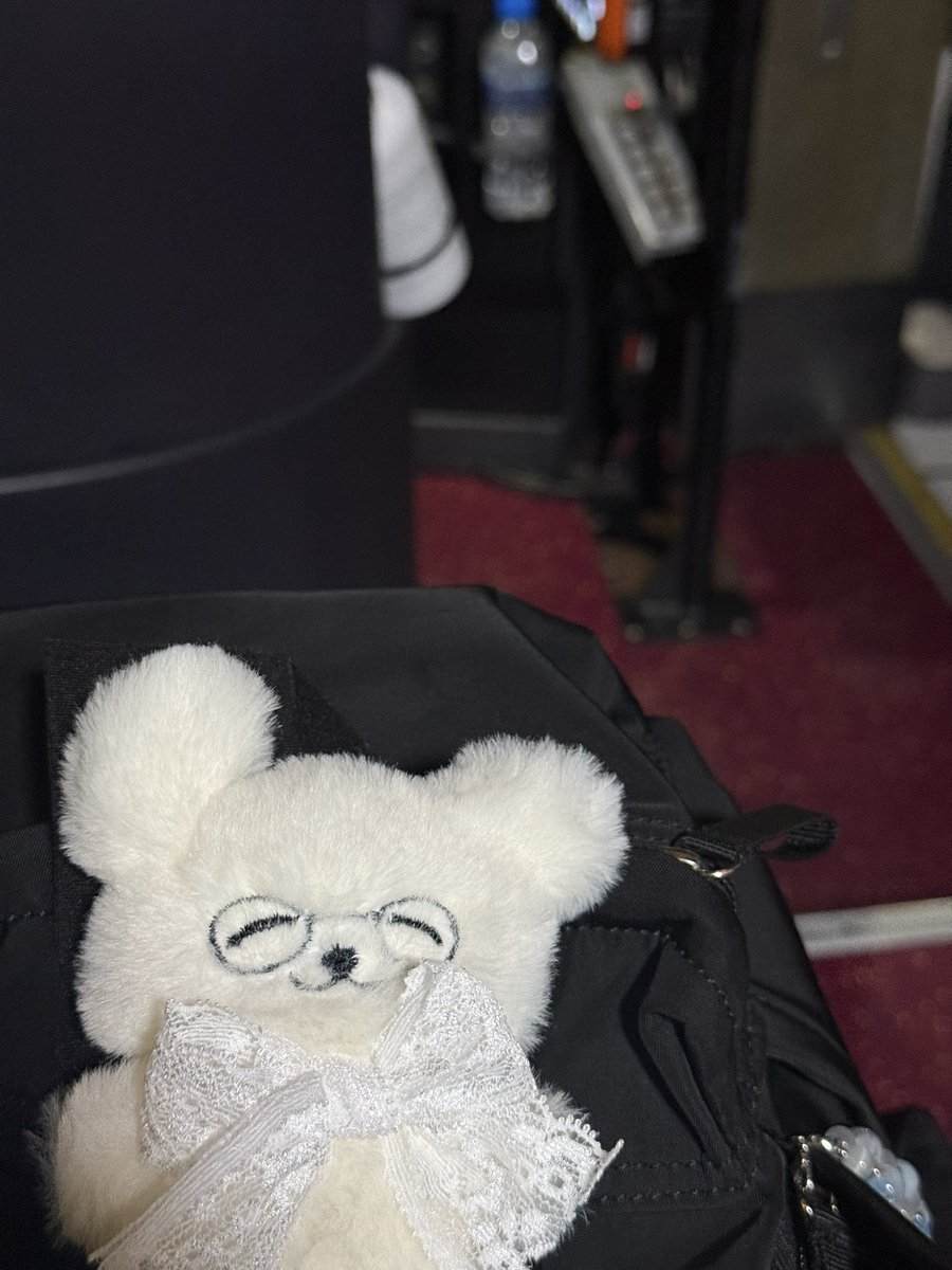 20250713 나고야 자둘🛫

더러워질까봐-
일년을 포장지도 안 뜯고 보관만 당했던 털찐카앙리
이번엔 함께 마실 나왔당･̑◡･̑