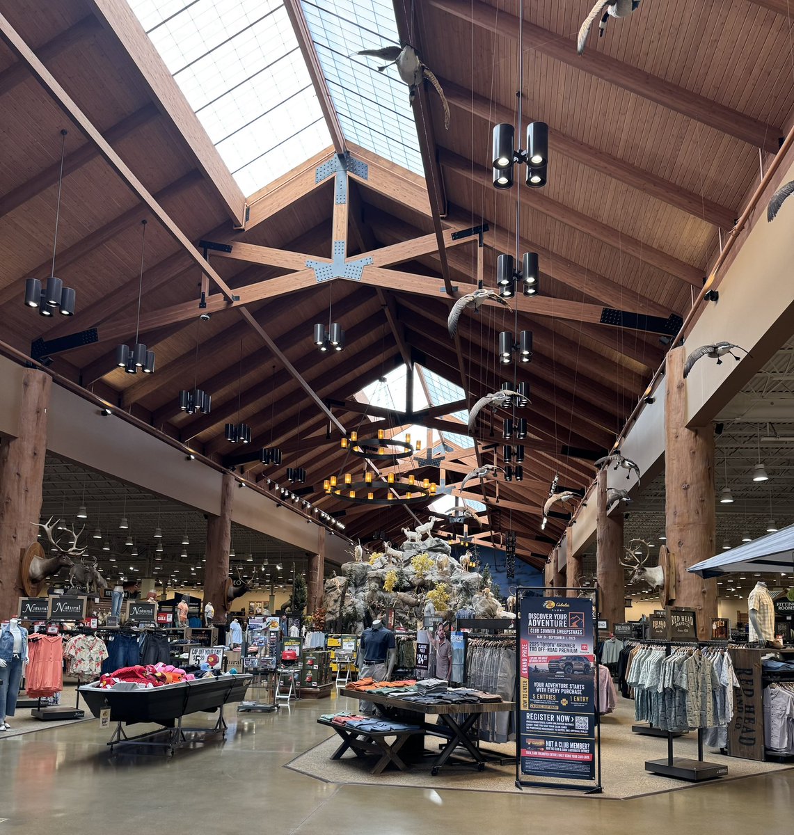 Wendy A. Warren tweet media