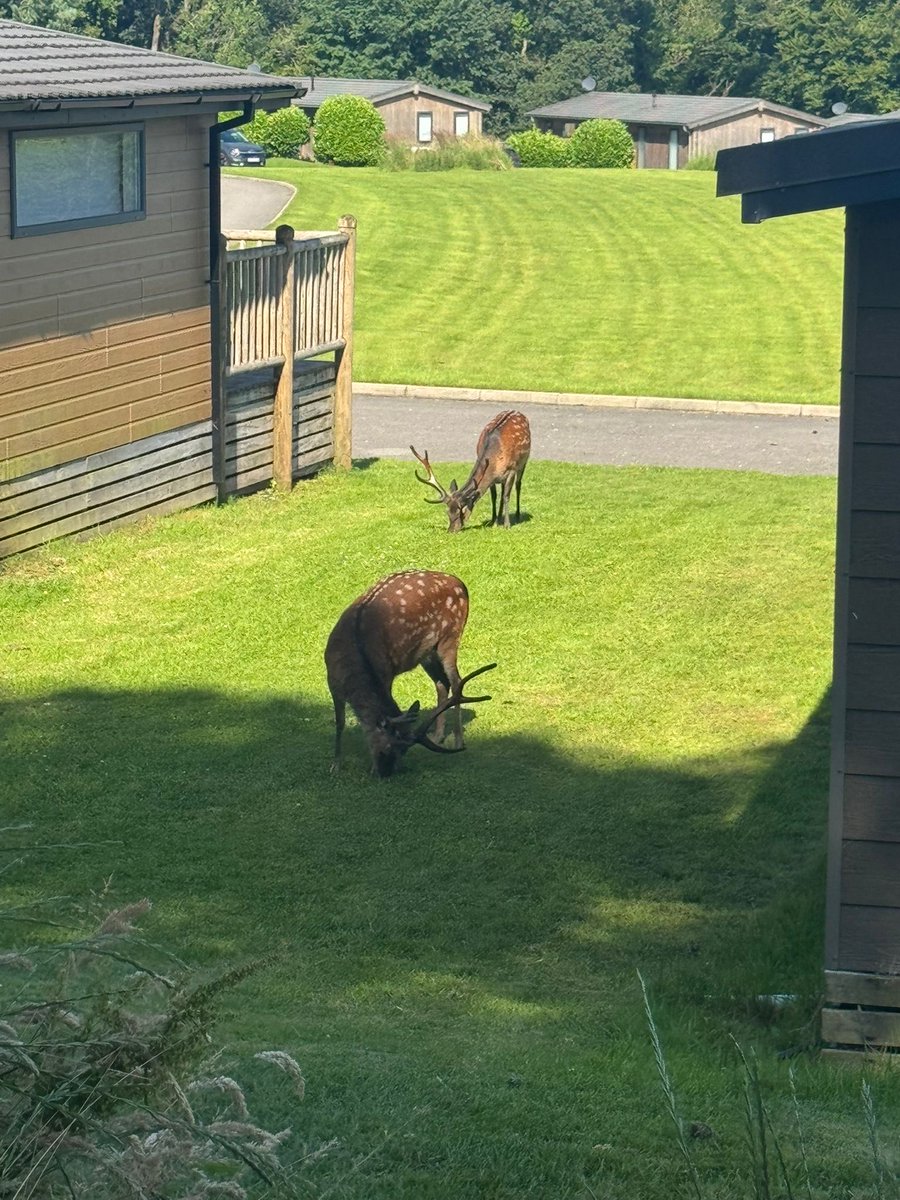 Smithersctid's tweet image. Lovely place 😍What a weekend! 🥵😎🍺have a gud un folks🍻