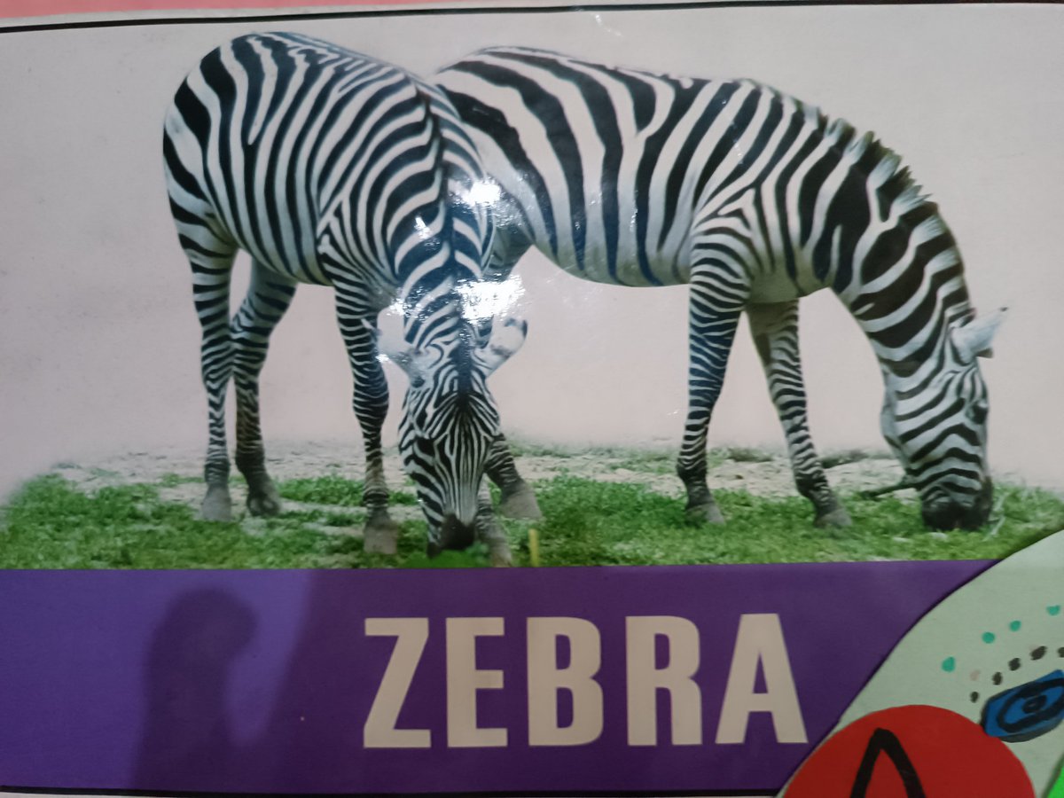 Ghana! 🇬🇭 Ready to explore the power of privacy in crypto? Join the <a href="/ZcashGH/">ZcashGhana</a> community today and let’s build #ZcashGhana together! 🔐🚀 #ZcashGH <a href="/Zcash/">Zcash 🛡️</a> <a href="/gordonesTV/">Roosevelt Gordones</a>
<a href="/Zcash/">Zcash 🛡️</a> <a href="/zcashesp/">Zcash en Español 🛡️ᙇ</a> <a href="/ZcashCanada/">Zcash•Canada 🛡️</a> <a href="/zcashbrazil/">Zcash Brasil</a> <a href="/ZcashCommGrants/">Zcash Community Grants🛡</a> <a href="/ZcashFoundation/">Zcash Foundation 🛡️</a> <a href="/ZcashFr/">Zcash FR 🛡</a> <a href="/zcashkorea/">Zcash Korea</a> <a href="/ZcashTR/">Zcash Türkiye</a>  <a href="/ZecHub/">ZecHub</a>