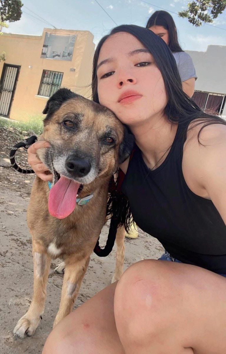 Hoy, Oso va camino a la veterinaria y va a entrar a cirugía. 🐶🐾