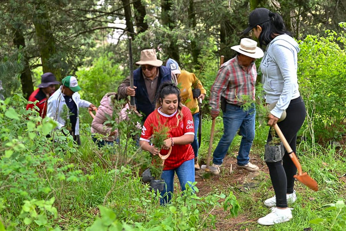 📰 Impulsa Vanessa Linares reforestación en ocho municipios.

•La legisladora Vanessa Linares coordinó la jornada de reforestación “Rescatando los bosques del sur”, realizada de manera simultánea en los municipios de #AlmoloyaDeJuárez, #SanSimónDeGuerrero, #Amatepec, #Luvianos,