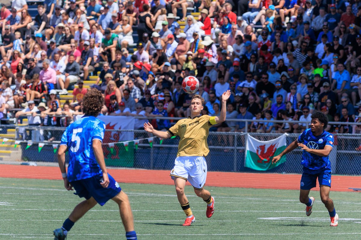 Kevin Barrett tweet media