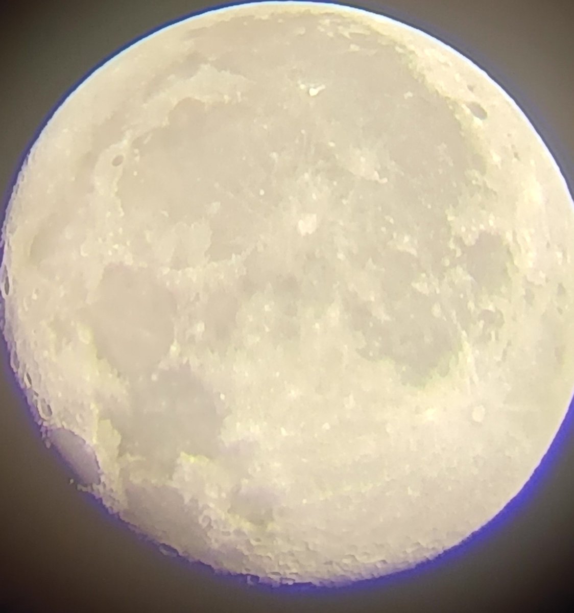 jto24294's tweet photo. 体調不良と仕事の忙しさで早起きしてもギリまで布団で寝て体力温存してたので、だいぶ良くなった今日2ヶ月ぶりの
土星と月の観望。土星の輪の戻りも見れた。月はスマホで撮影。屈折のため色収差すごいので白黒にするしかないのかなー。 https://t.co/vqnimDxLaZ