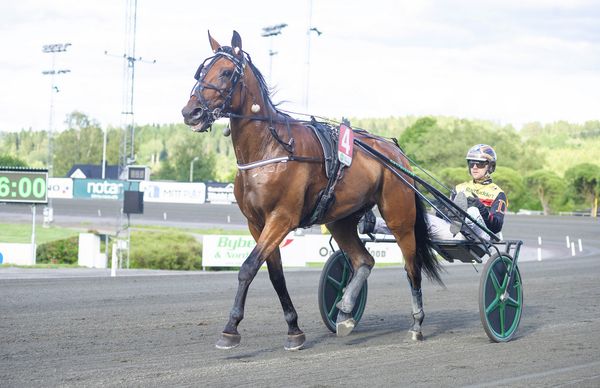 Med en färsk seger i bagaget blev Luigi Mearas kvällens dyraste försäljning då han klubbades bort för 260.000 kronor.

travera.nu/aktuellt/luigi…