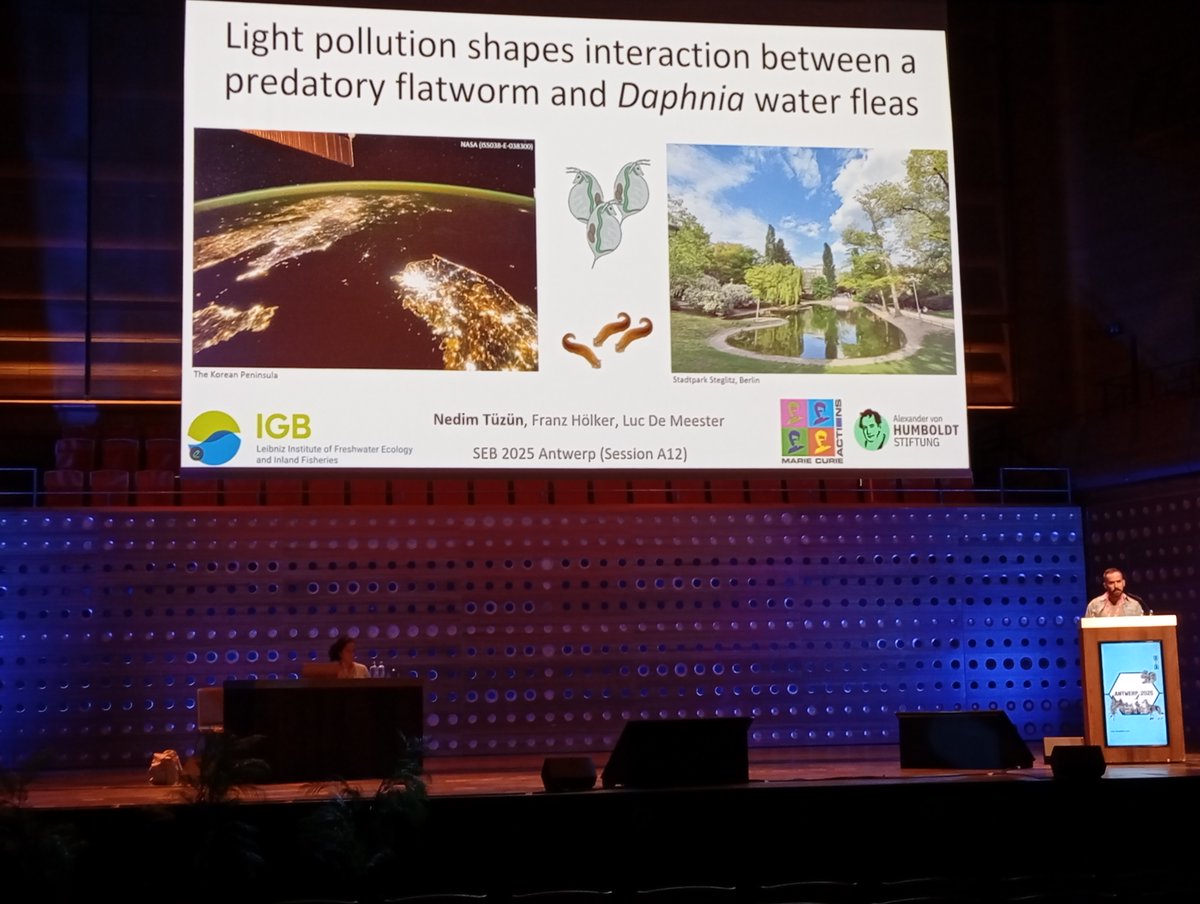 Marko Prokic tweet media