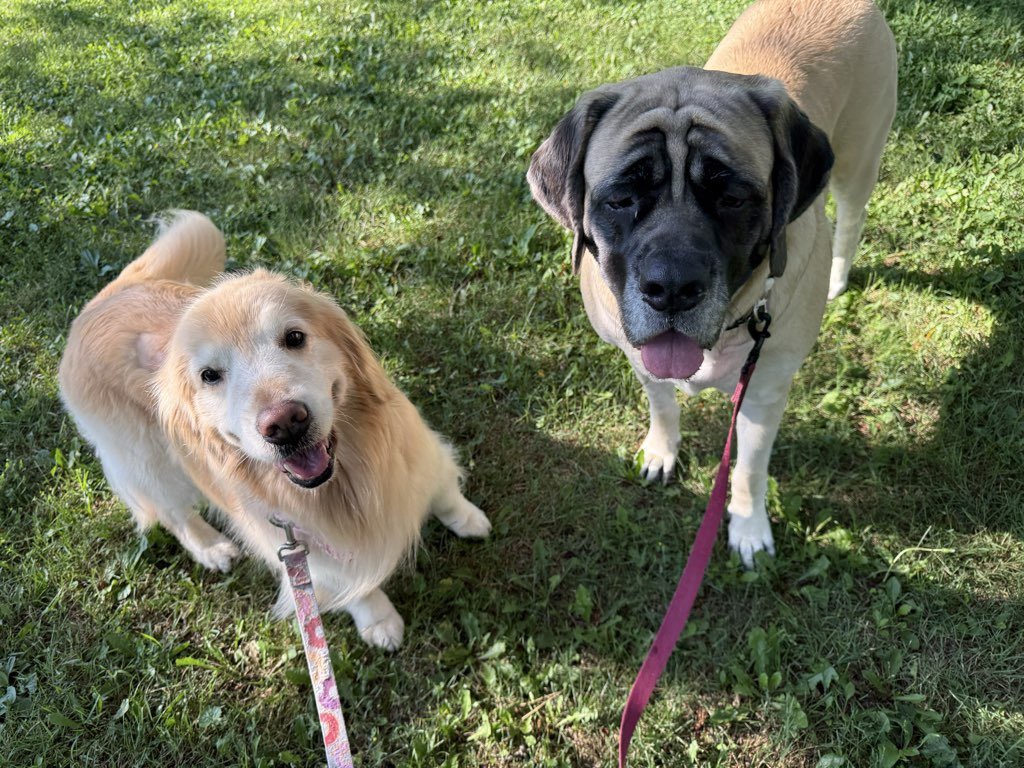 Happy Saturday, frens!!