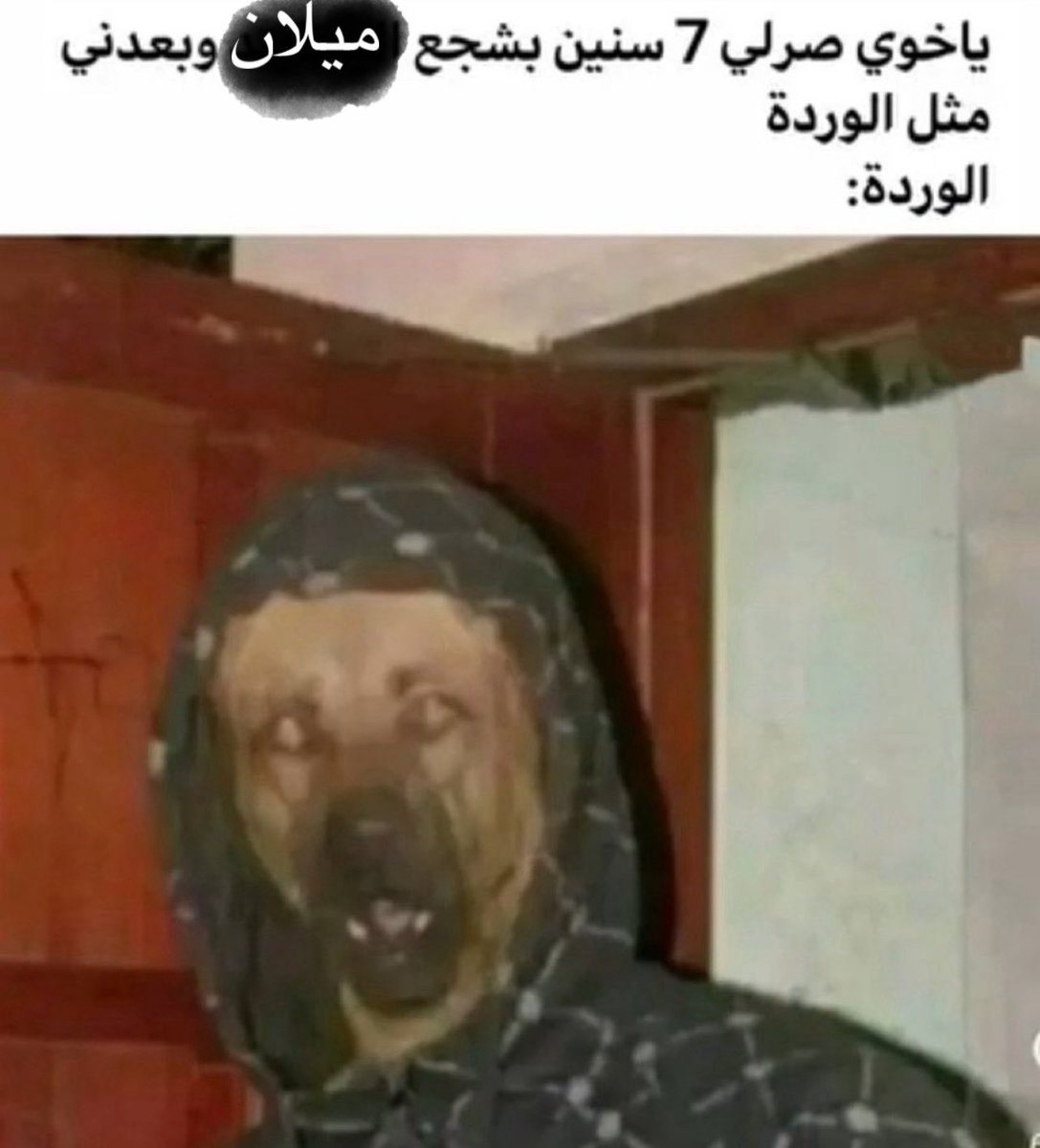 صالح⭐️⭐️ (@salih2033) on Twitter photo 