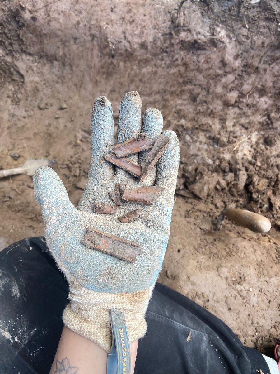 The Poulton Project tweet media