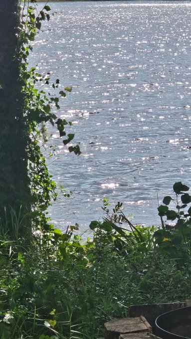 Watch Chloe Lamb's leaked NSFW photo on TwXstars