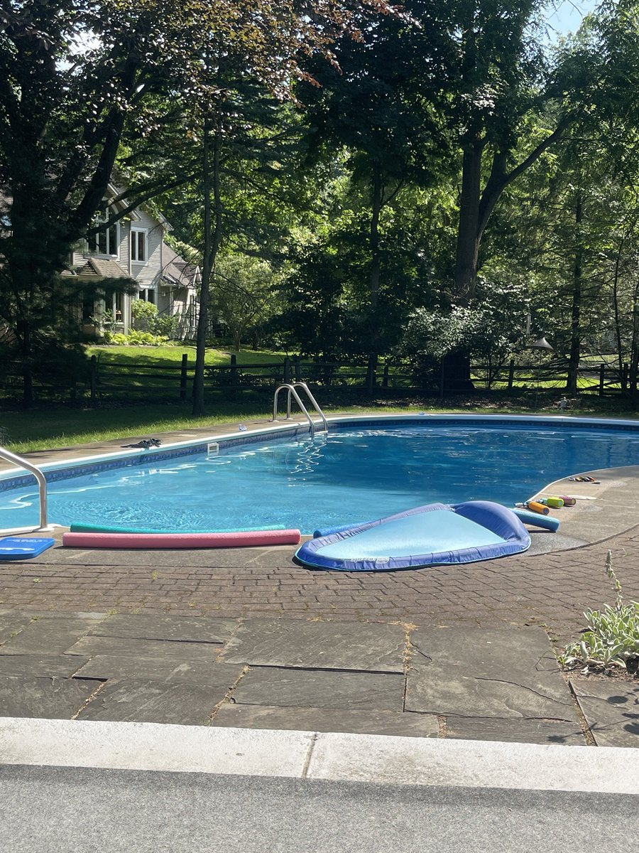 𐙚mocha⋆☕️🐾 tweet media