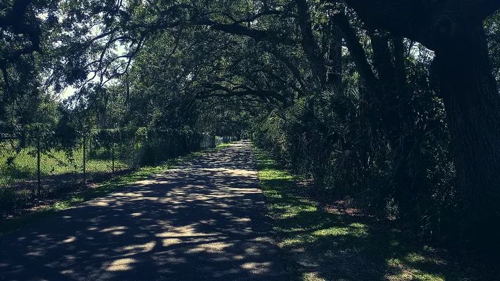 HauntFreak11's tweet image. Saturday views

- #OutForAWalk #EnjoyingWhatsInfrontOfMe #WestOrangeTrail