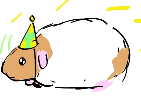 Happy bday to my guinea pig
He's 2 years old