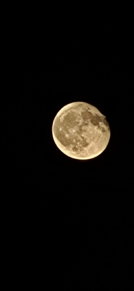 #moonlight 
#summernight ✨️🌙🥂