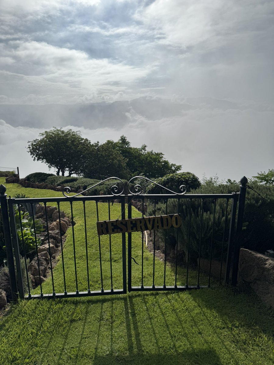 Patricia&Gabo tweet media