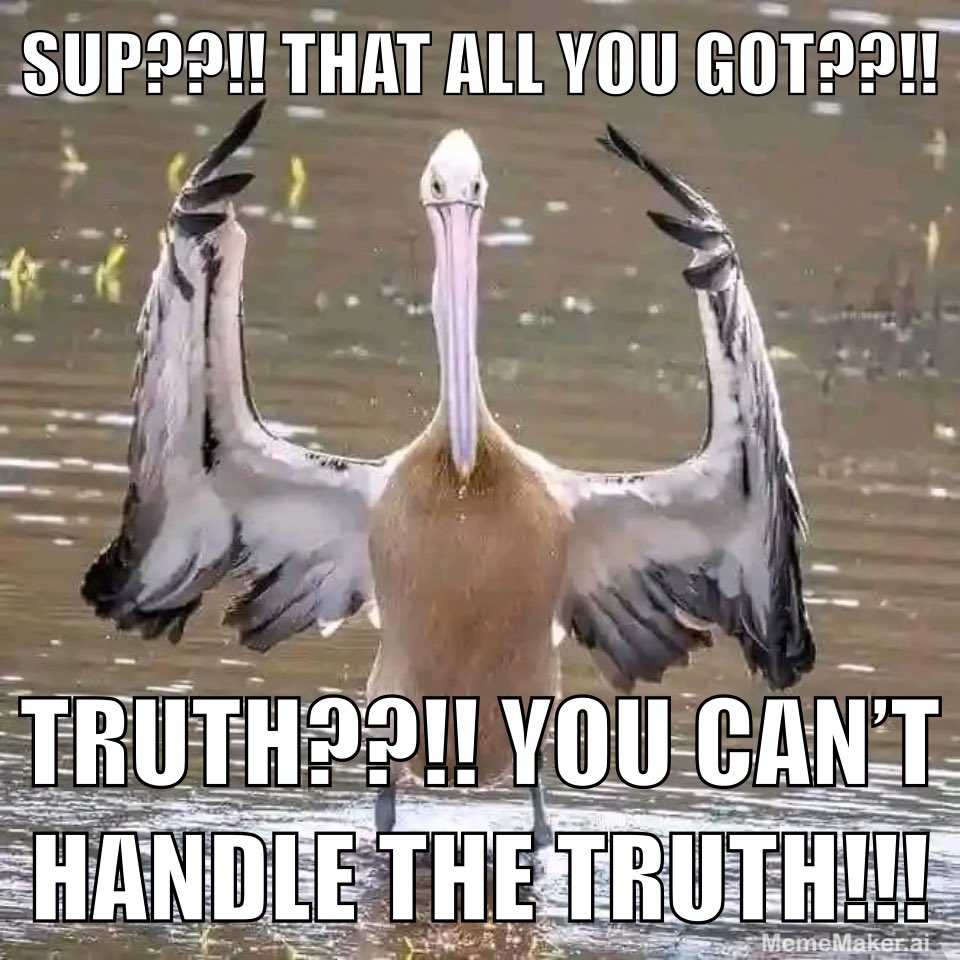 BulletShipman's tweet image. FOLLOW Yeshua Messiah, OBEY the 10 Commandments, EAT CLEAN for Gods sake, and FULFILL the Royal Law!!! SO EASY ITS STOOPID!!!