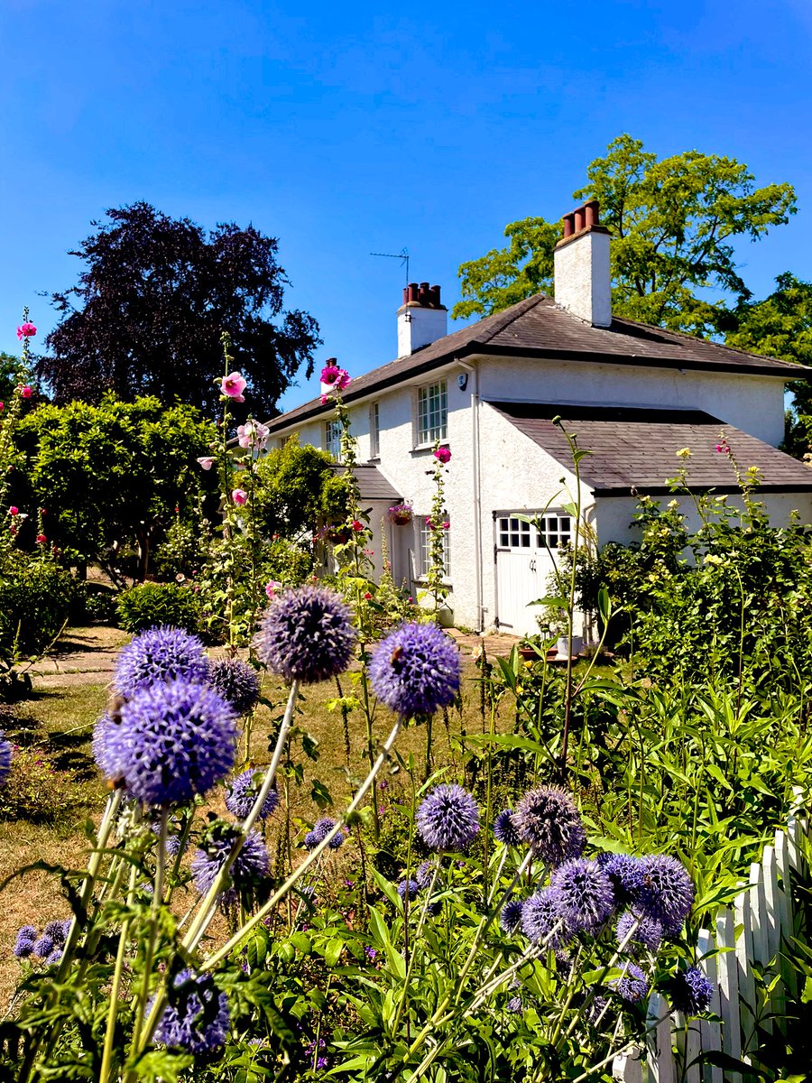 TaraTeacher1's tweet image. Back in London and it’s just as beautiful as Malta in this glorious sunshine #summerdays #summer #london #dulwich