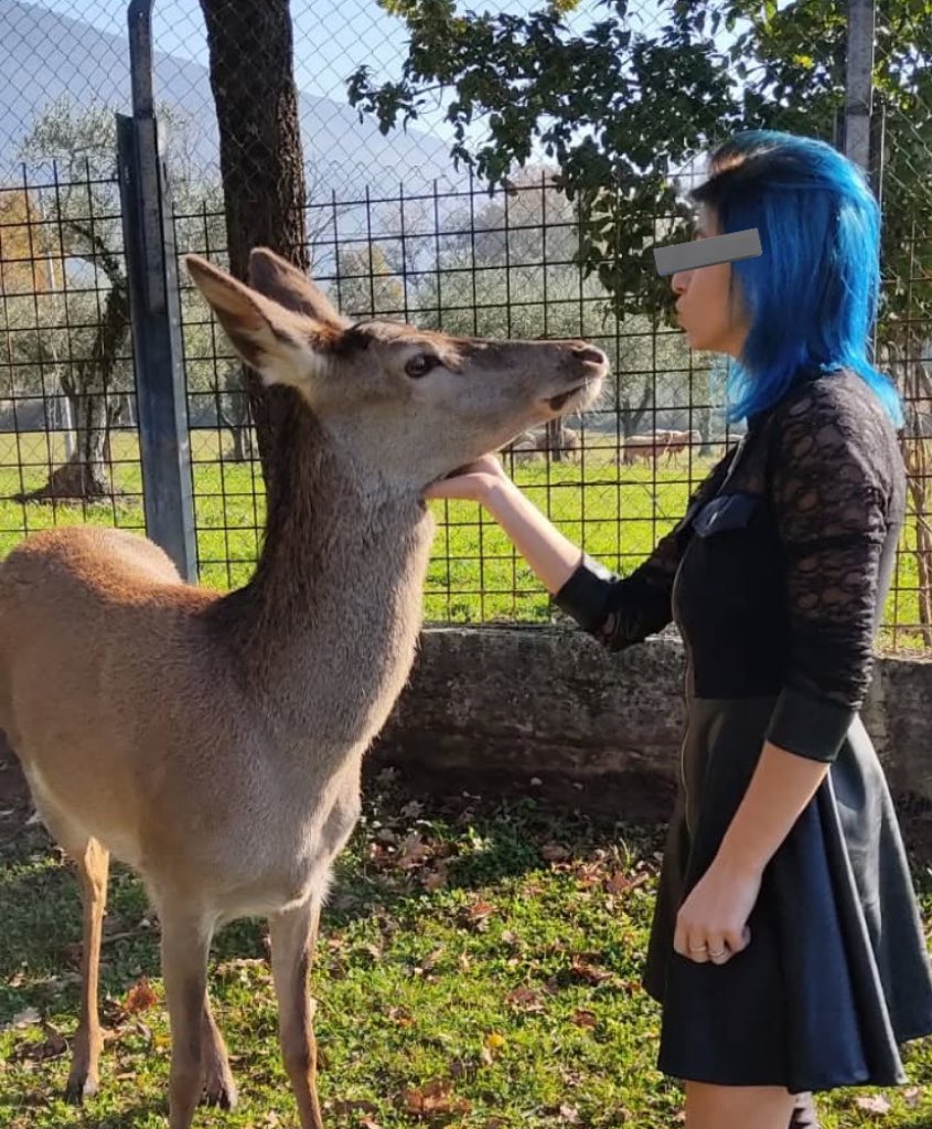 İki ceylan birbirine bakıyor😆