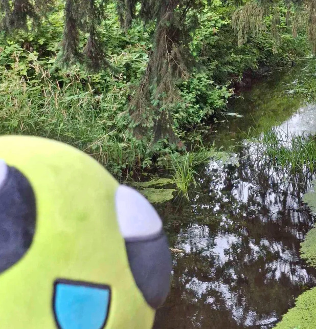 lilalienz4ever's tweet image. flug.. hi flug..