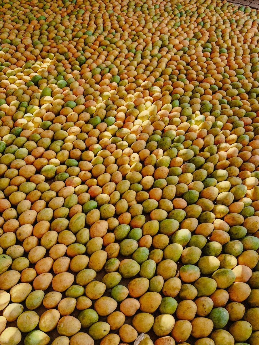 somewhere in egypt🥭