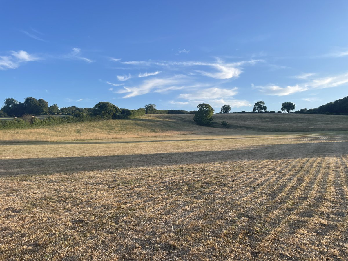 Russell Harris (@sarriefan_uk) on Twitter photo Warm Summer evening in the English countryside, 1 minute from the house. So lovely π <a href="/LadyPennyP/">Alison Davis</a> Warm Summer evening in the English countryside, 1 minute from the house. So lovely π <a href="/LadyPennyP/">Alison Davis</a>