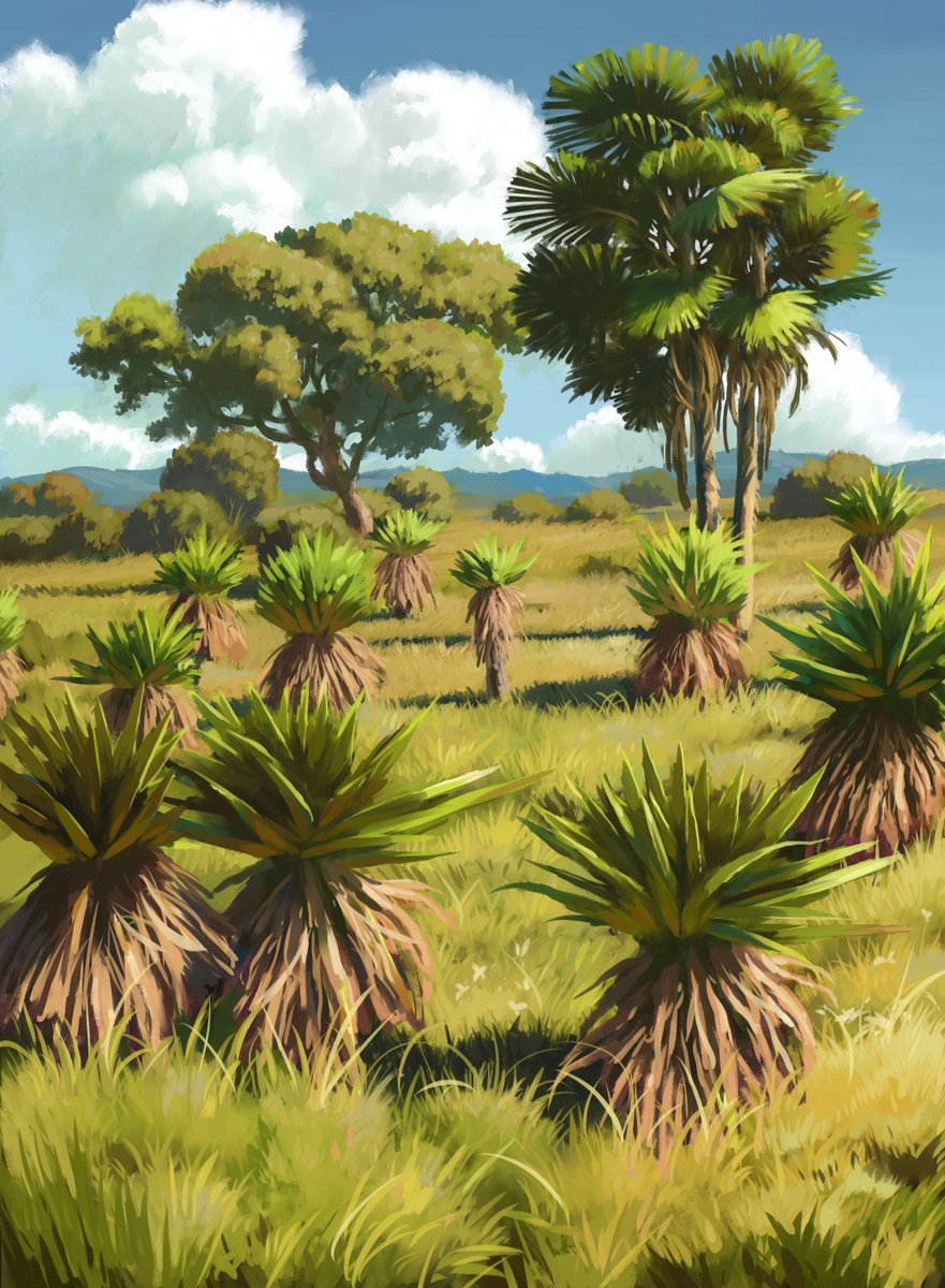hoseki_raito's tweet image. desert plants & summer
concept art
art of board game
90s Kodama Studio
#art #illustration #2d #conceptart #environment #PortfolioDay