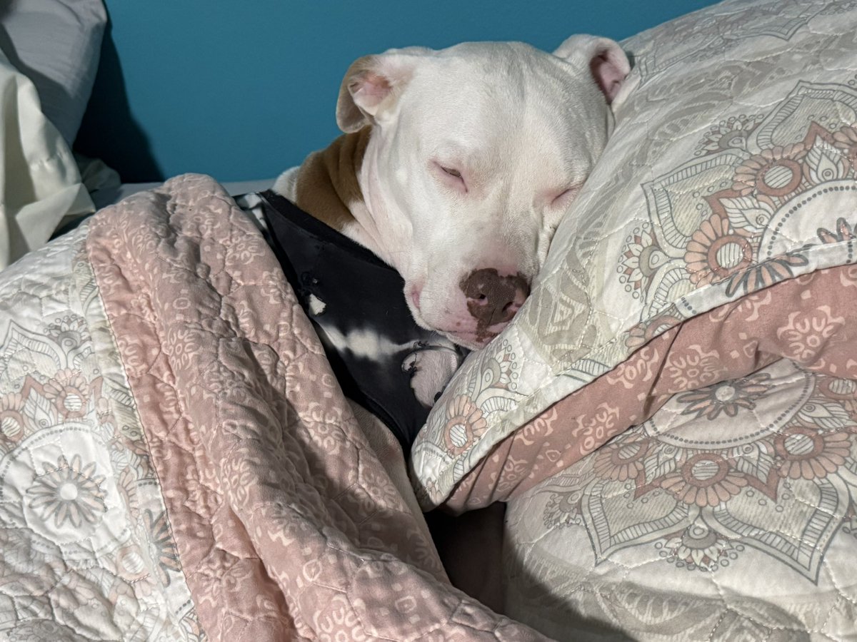 Sally is extra comfy LOL