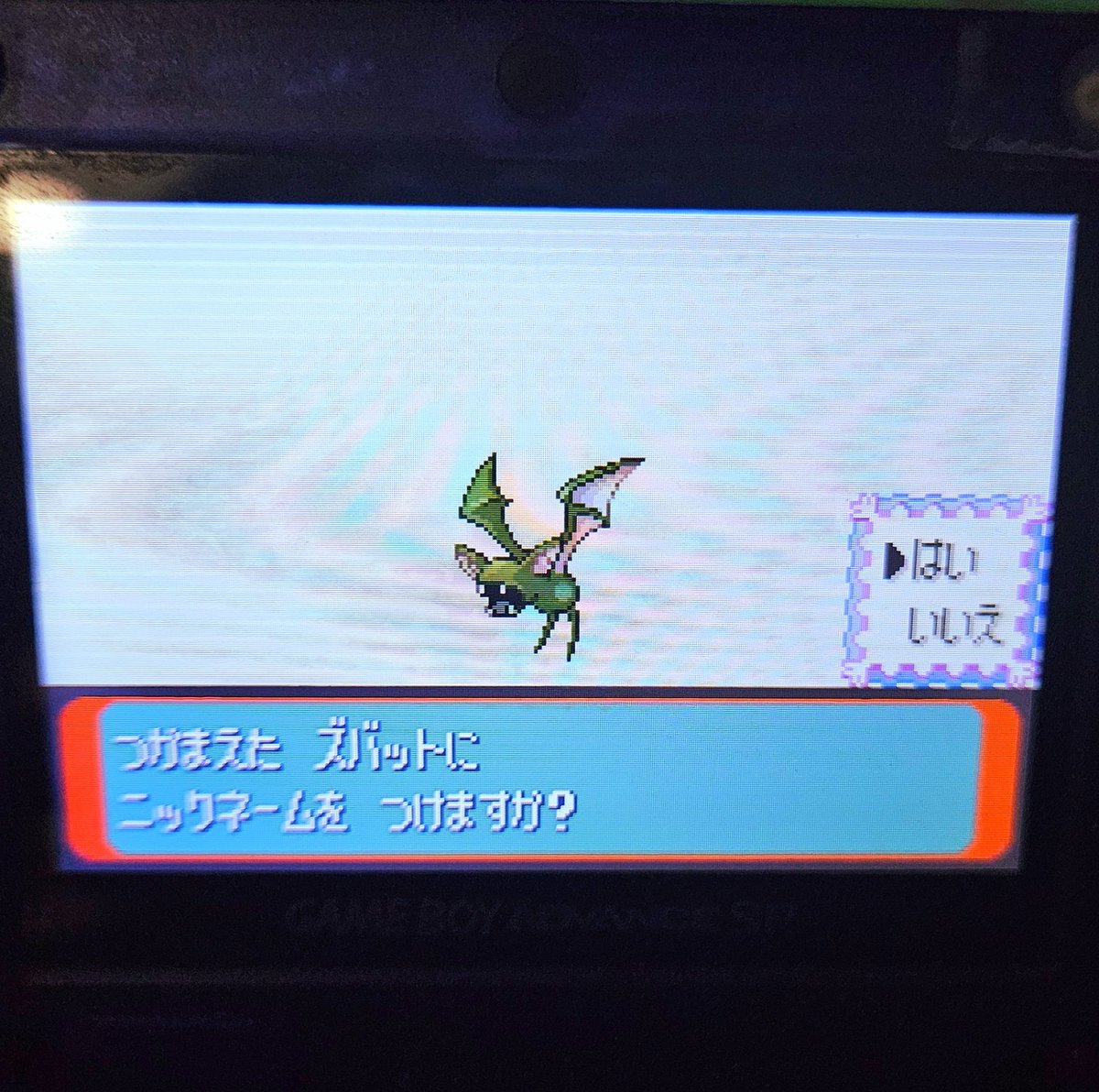 ShiningDanny1's tweet photo. #shinyzubat #zubat #rse #rubyversion #sapphireversion #emeraldversion #fullodds #gen3 #retro #gbasp #sp #cmod #modded #pokemon #shinypokemon #shinylivingdex #livingdex #phase https://t.co/9AXBtP2HLA