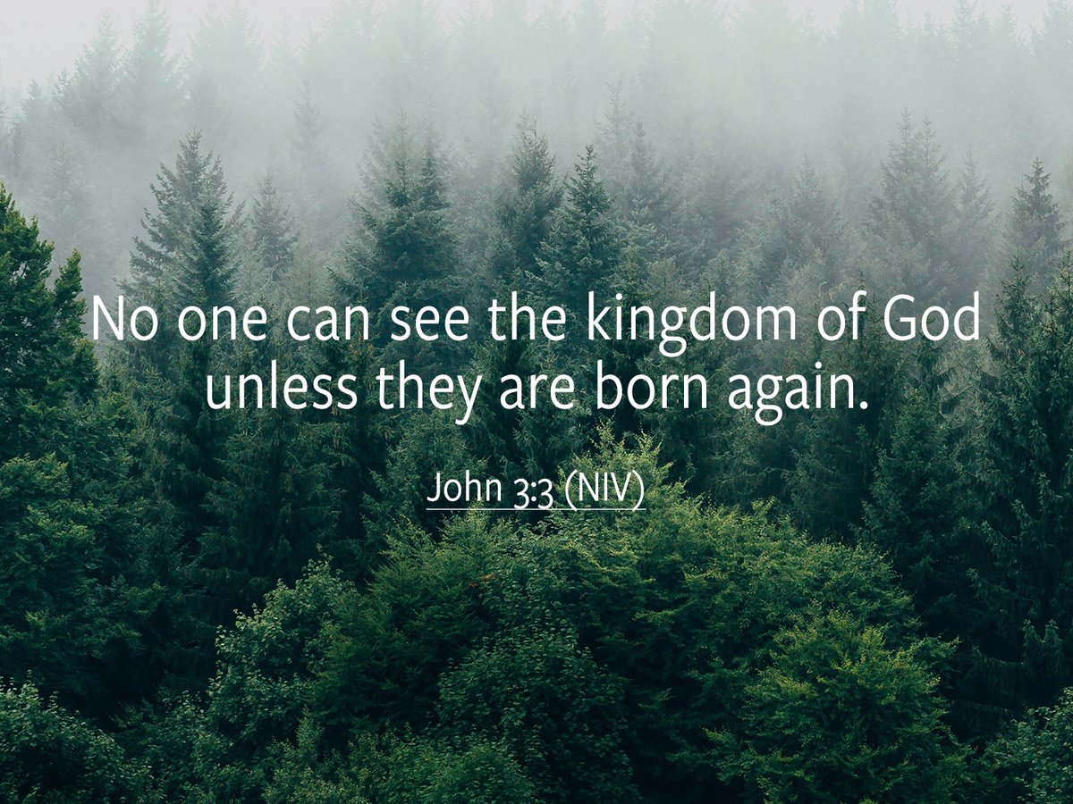 WarCryUSA's tweet image. Jesus longs for this to be your daily, eternal life. Will you receive the loving gift of His salvation? 💚 thewarcry.org/articles/what-…
#BibleVerse #Scripture #ChristianInspiration