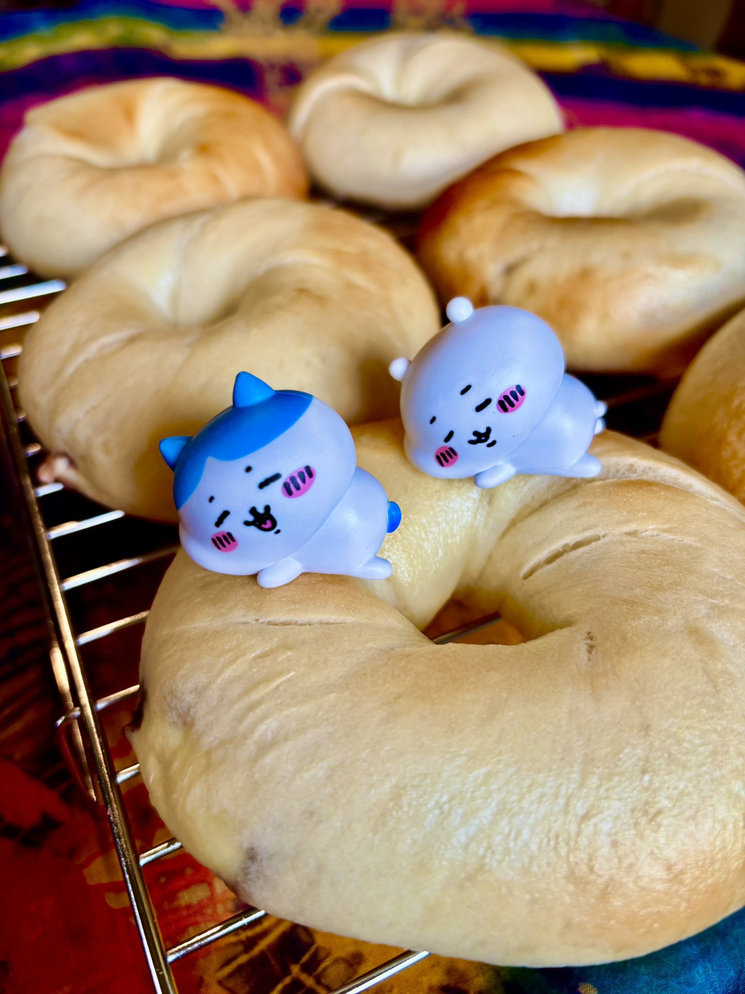 ぽろんパンカフェ🥐✨ (@poron2608) / X