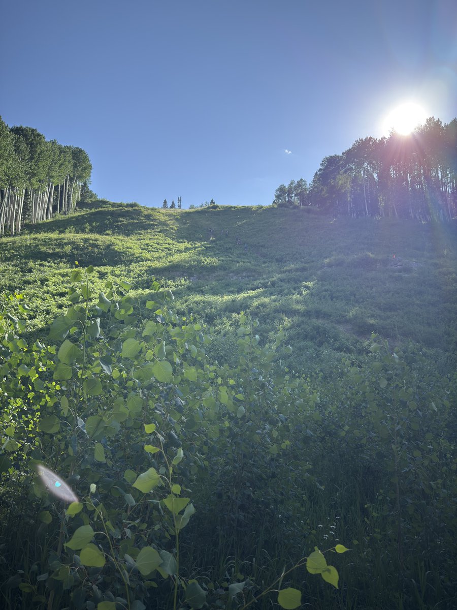 Bren_Horton's tweet image. Something a little different this time around.
Day 1 of Total Archery Challenge in the books. What a blast and what a view for it. Nothing like slinging some carbon at 12,000.
The last photo was pretty much most of the last half of the course we were on, practically straight…