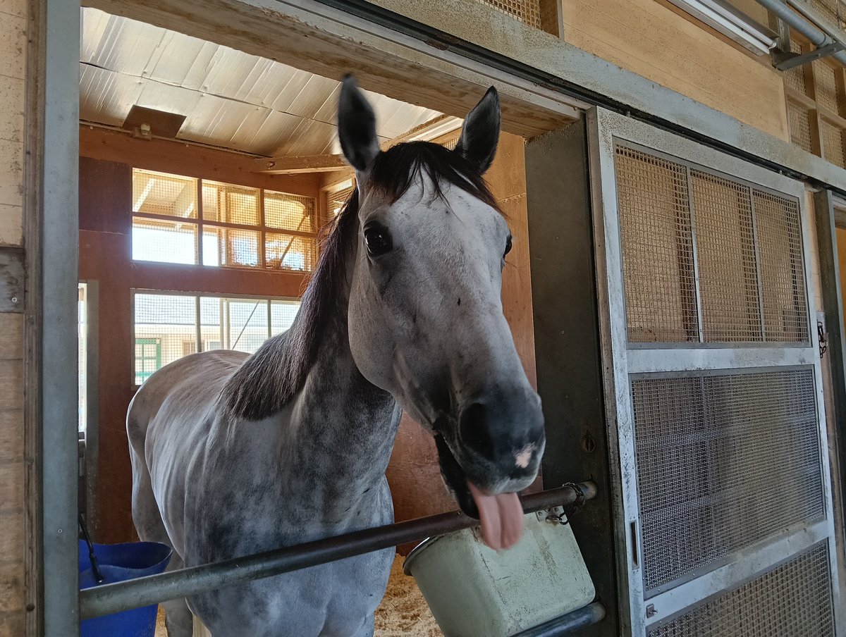 Take-chan tweet media