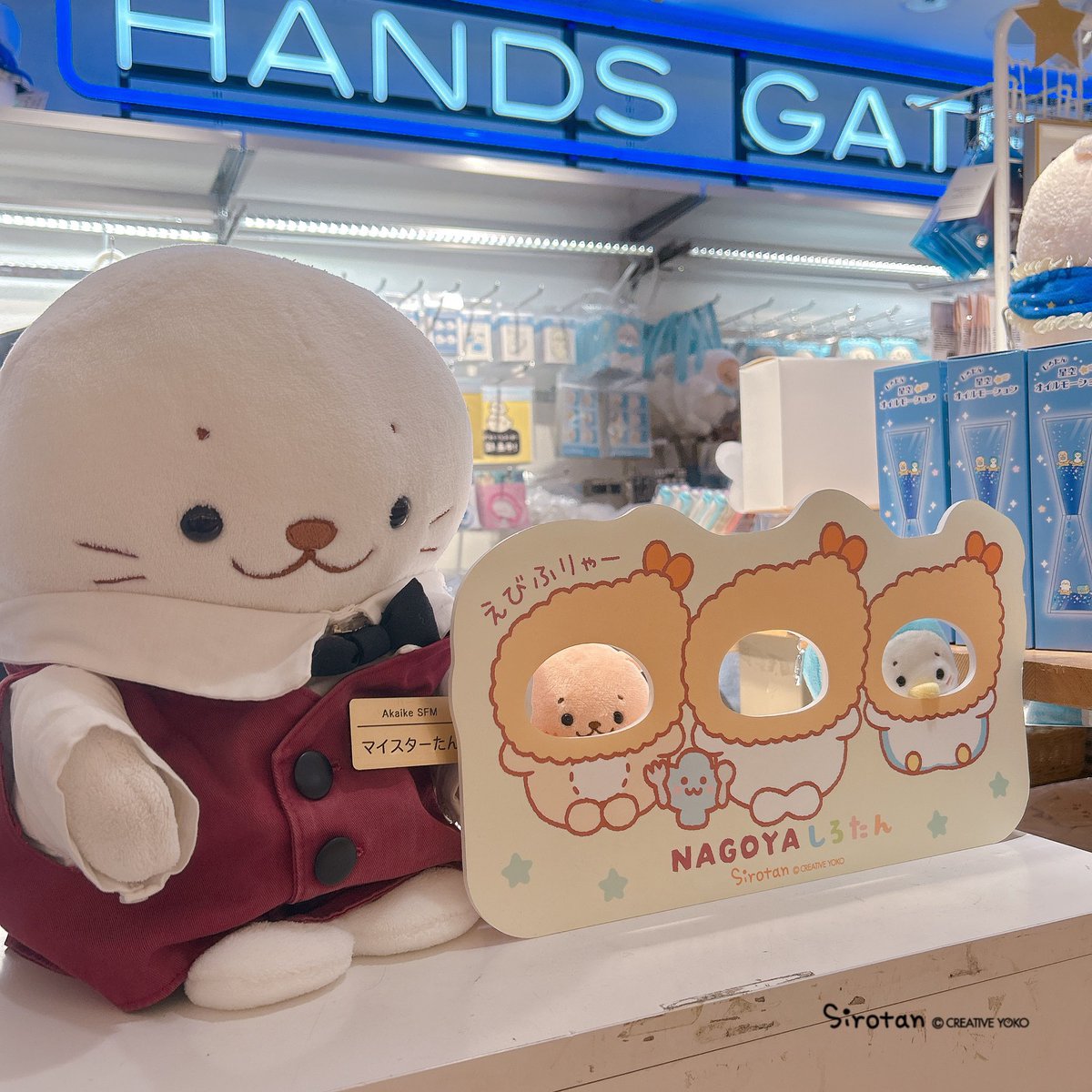 🌟名古屋ハンズゲートショップ「しろたんふんわりストア」OPENしました